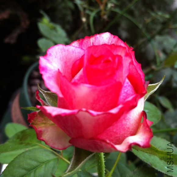 89a8229759ee3d6d05ddb3c24b166d224f4ade31.jpg