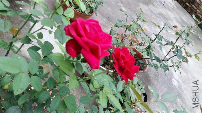 20160712_065615.jpg