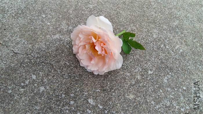 20160712_070109.jpg