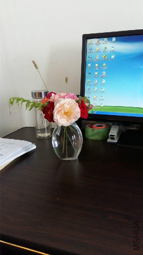 20160712_095128.jpg