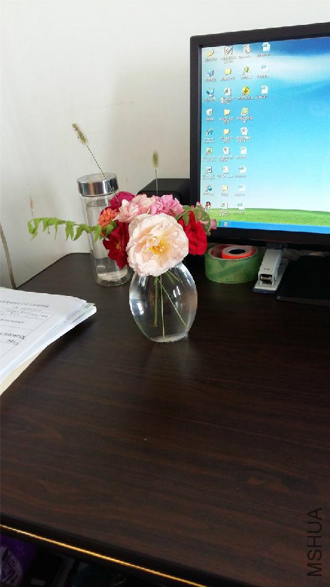 20160712_095137.jpg
