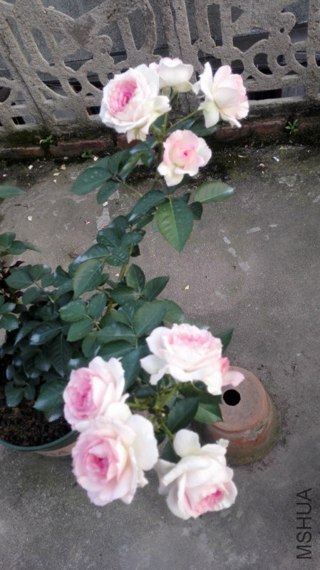 �ҵ�����