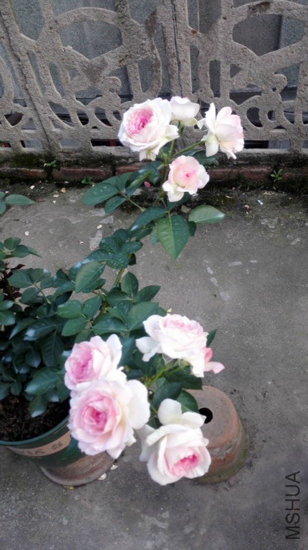 �ҵ�����