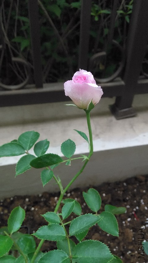 ��������