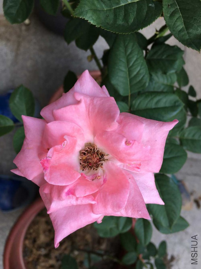 ��2