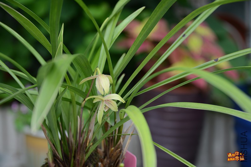 ��Ƭ 137_����.jpg