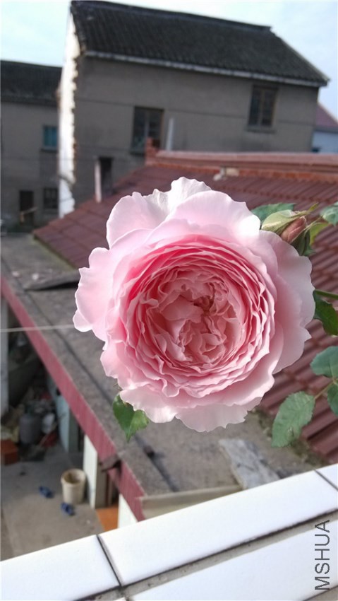 ���D3_����.jpg