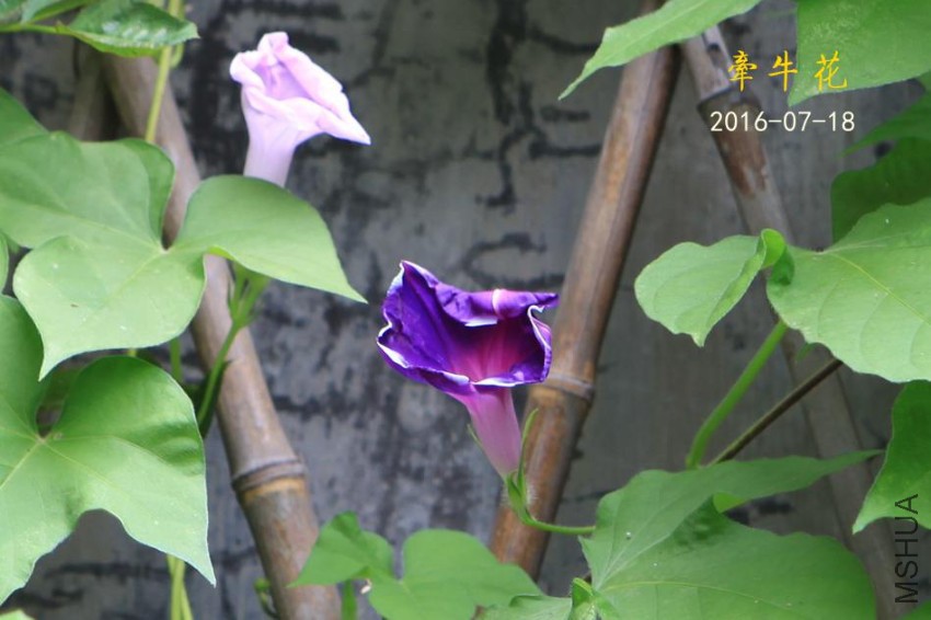 IMG_2576_����.jpg