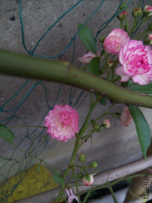 P60710-175641.jpg