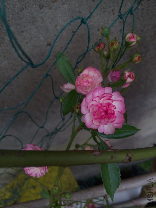 P60710-175637.jpg