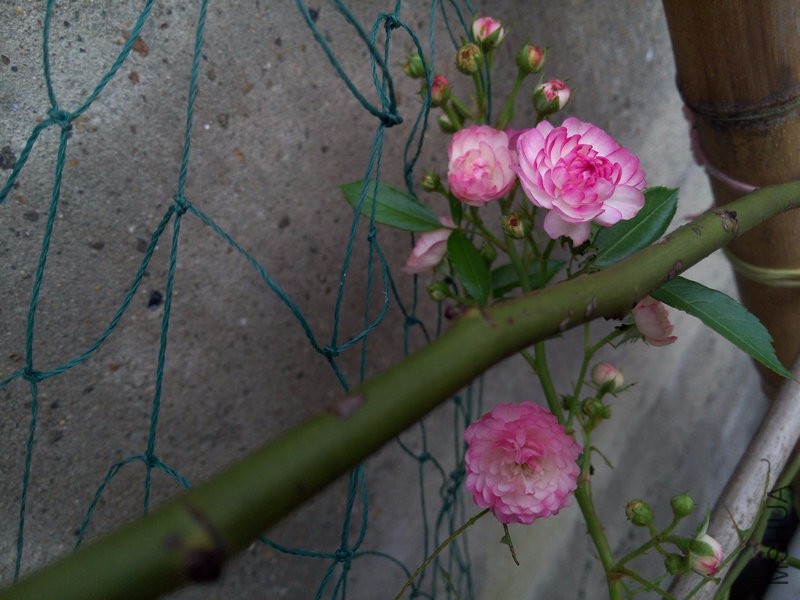 P60710-175611.jpg