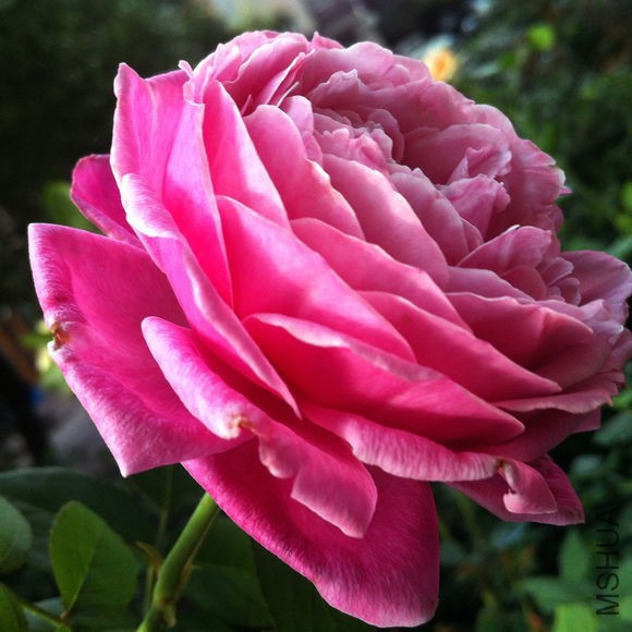 0a8e0af41bd5ad6eee5c91eb89cb39dbb7fd3c9b.jpg