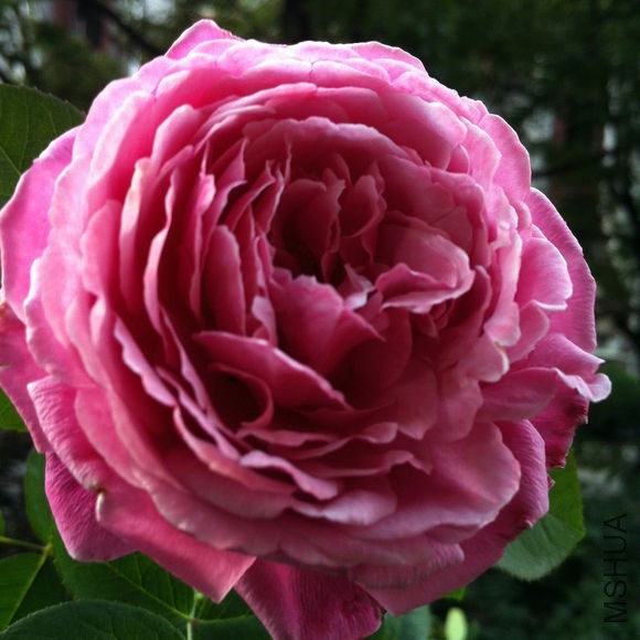 6c1a885494eef01fc8beedc4e8fe9925bd317d9b.jpg