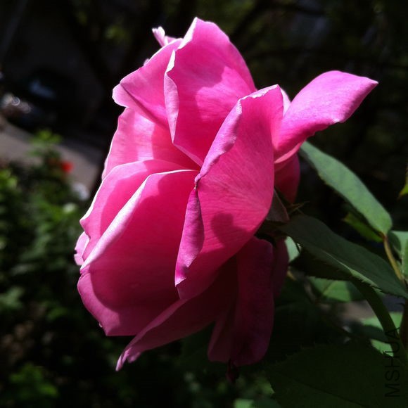 b69319950a7b0208a8f466ce6ad9f2d3572cc872.jpg