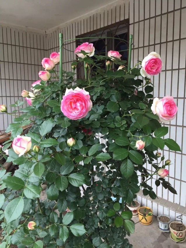 QQͼƬ20160720130222.jpg