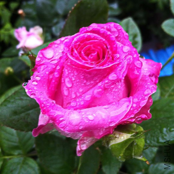 a7ab6309c93d70cf12612be4ffdcd100b8a12bd1.jpg