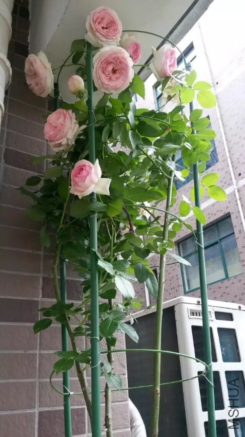 QQͼƬ20160721090529.jpg