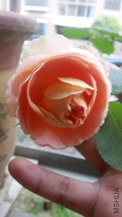 QQͼƬ20160721090556.jpg
