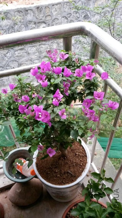 QQͼƬ20160721090603.jpg
