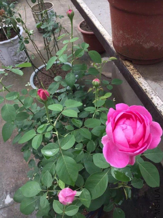 QQͼƬ20160721090613.jpg