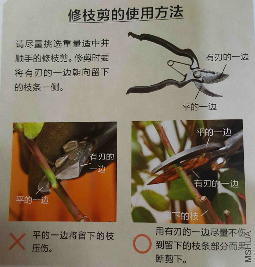 20160722_125423.jpg