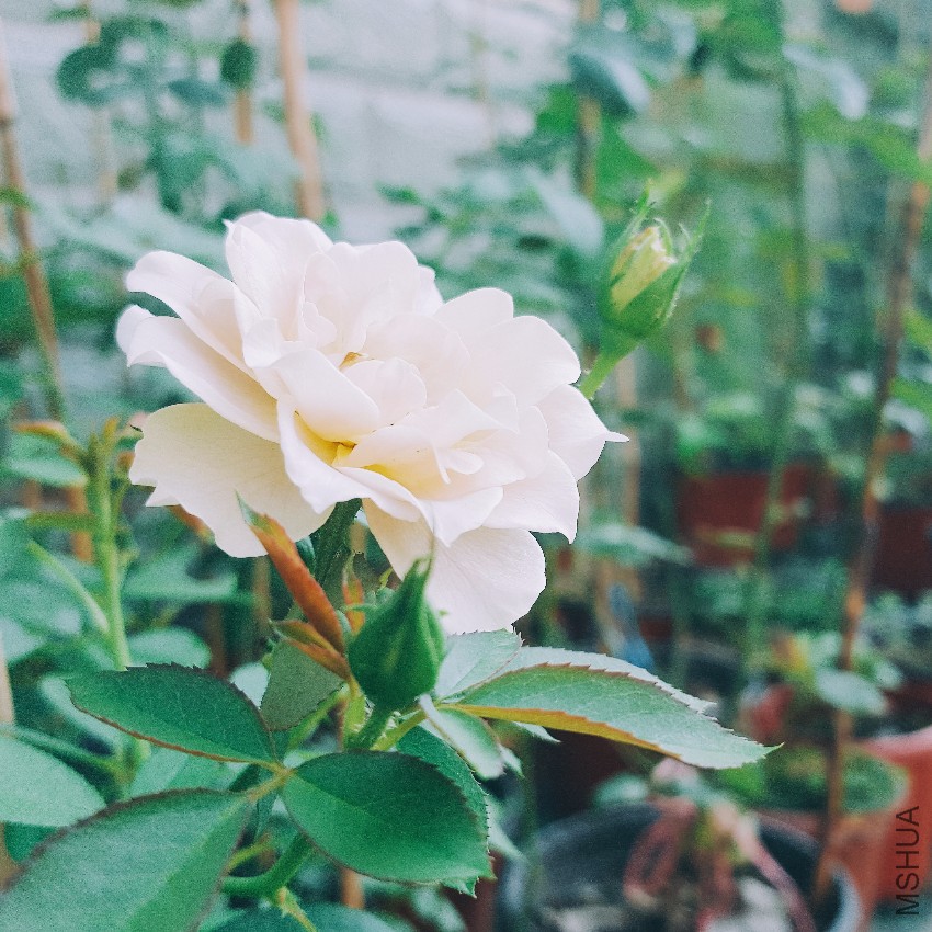 2016-07-22 04.56.01 1.jpg