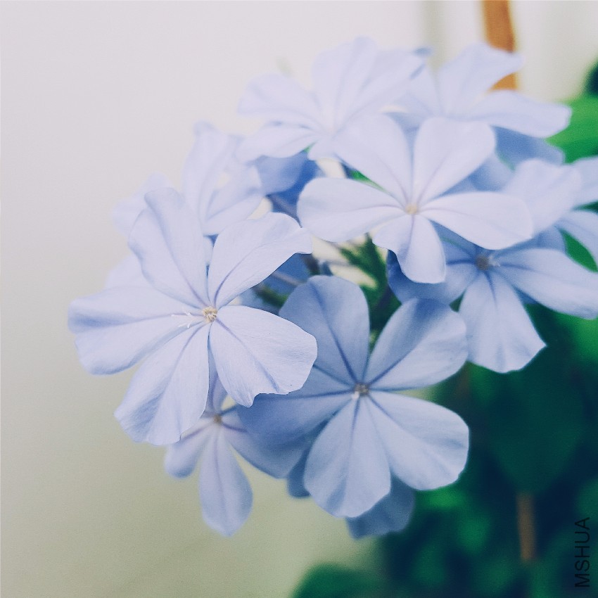 2016-07-22 05.17.40 1.jpg