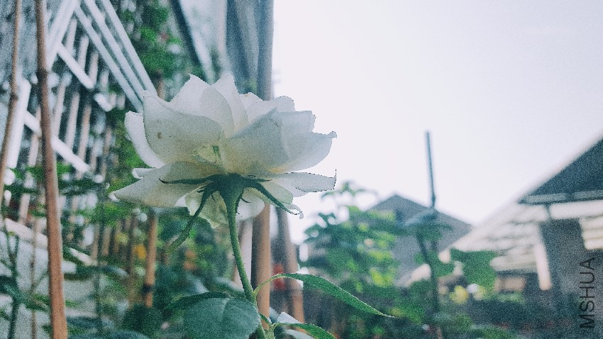 2016-07-22 04.55.58 1.jpg