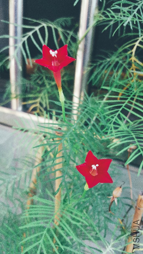 2016-07-22 04.55.55 1.jpg