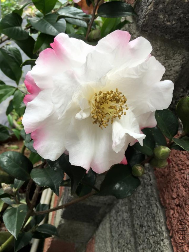 ��4��