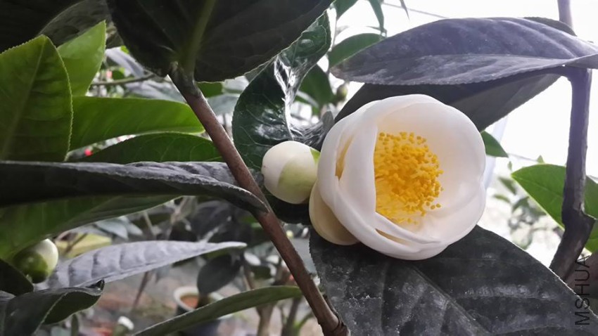 �׺���.jpg