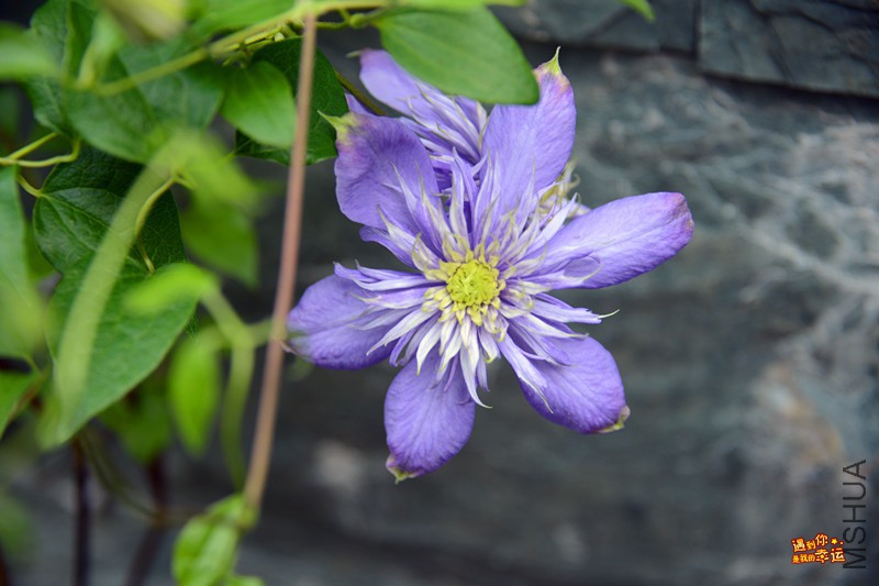 ��Ƭ 151_����.jpg