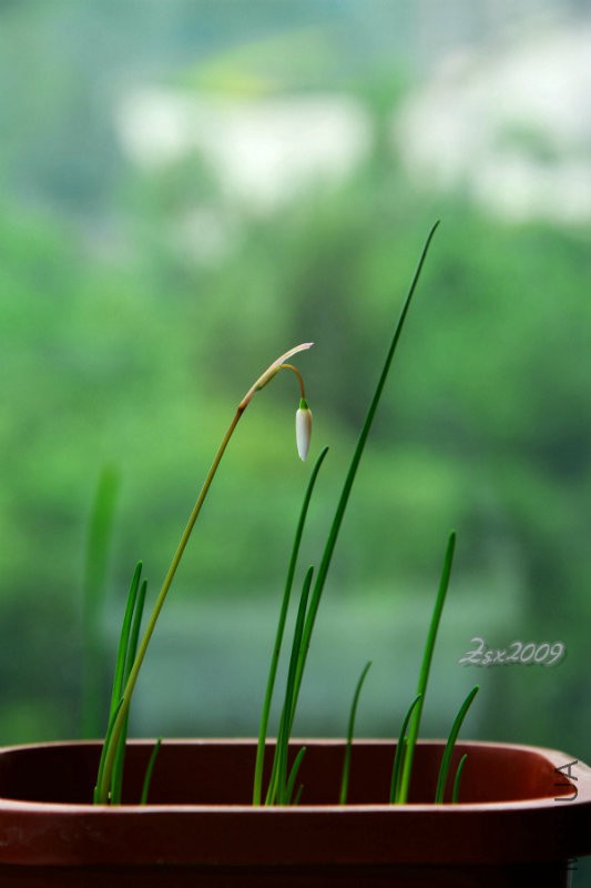 DSC_9207.JPG