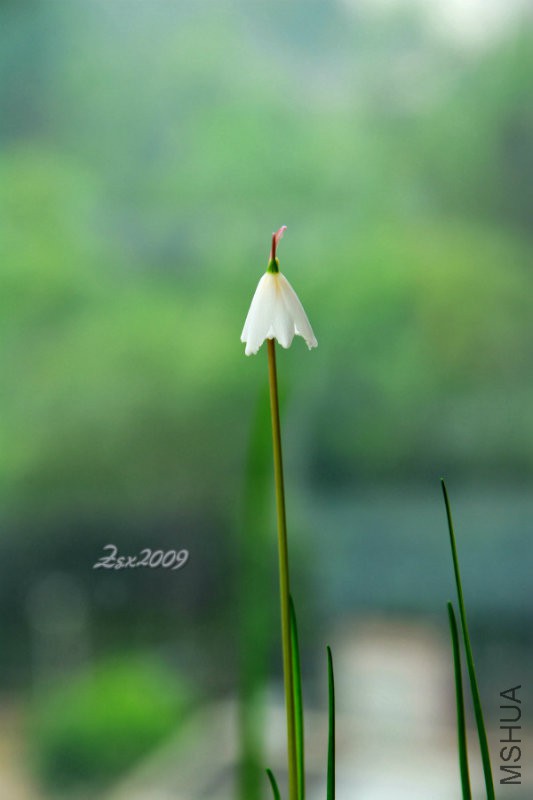 DSC_9229.JPG