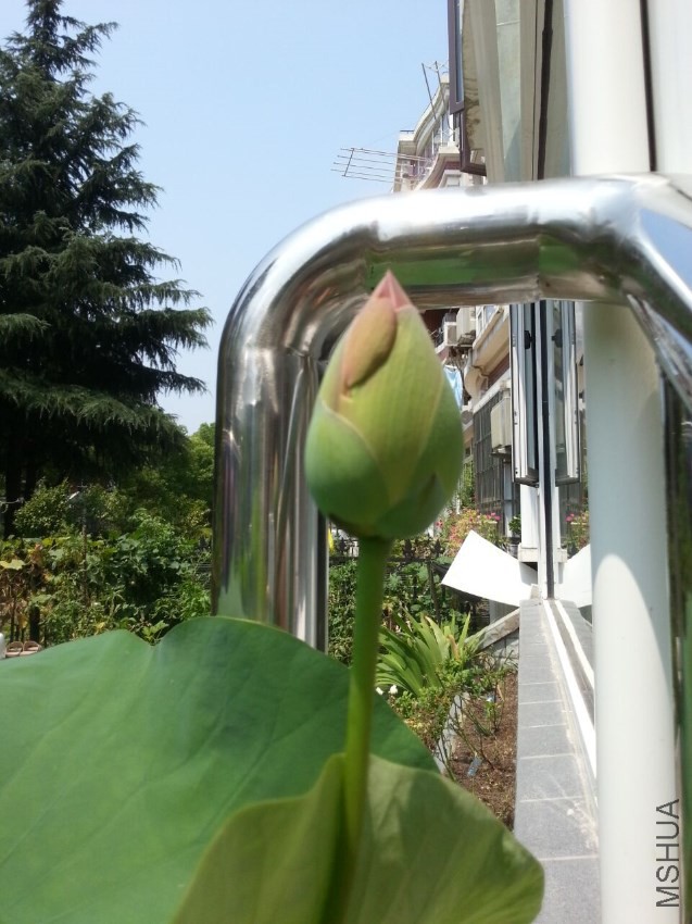 ����״��