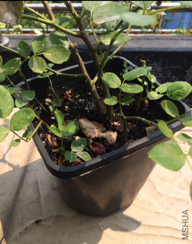 37���ˣ������ɹ���硢��ע�⽽��ˮ����