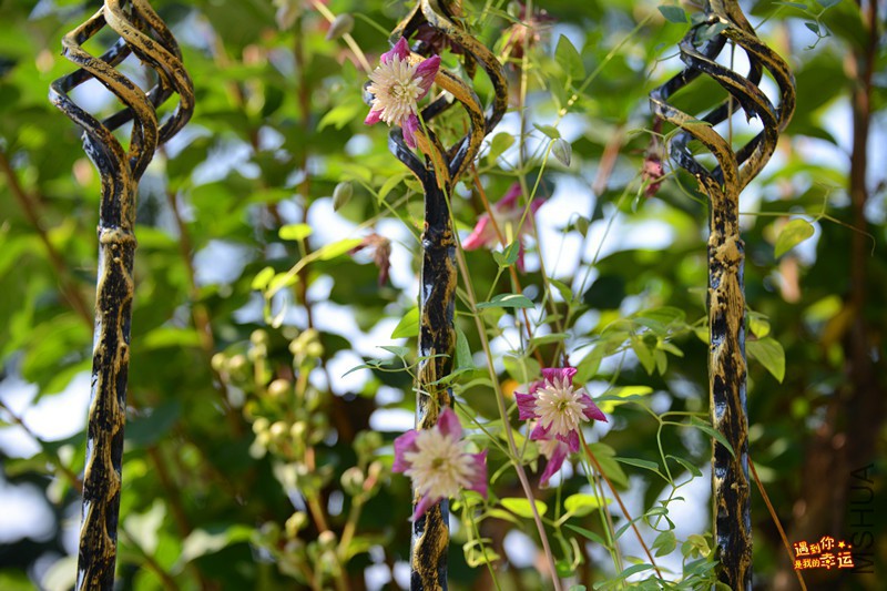 ��Ƭ 050_����.jpg