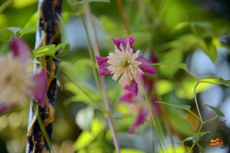 ��Ƭ 051_����.jpg