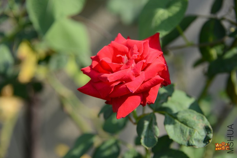 ��Ƭ 040_����.jpg