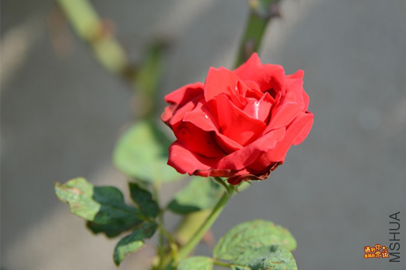 ��Ƭ 041_����.jpg