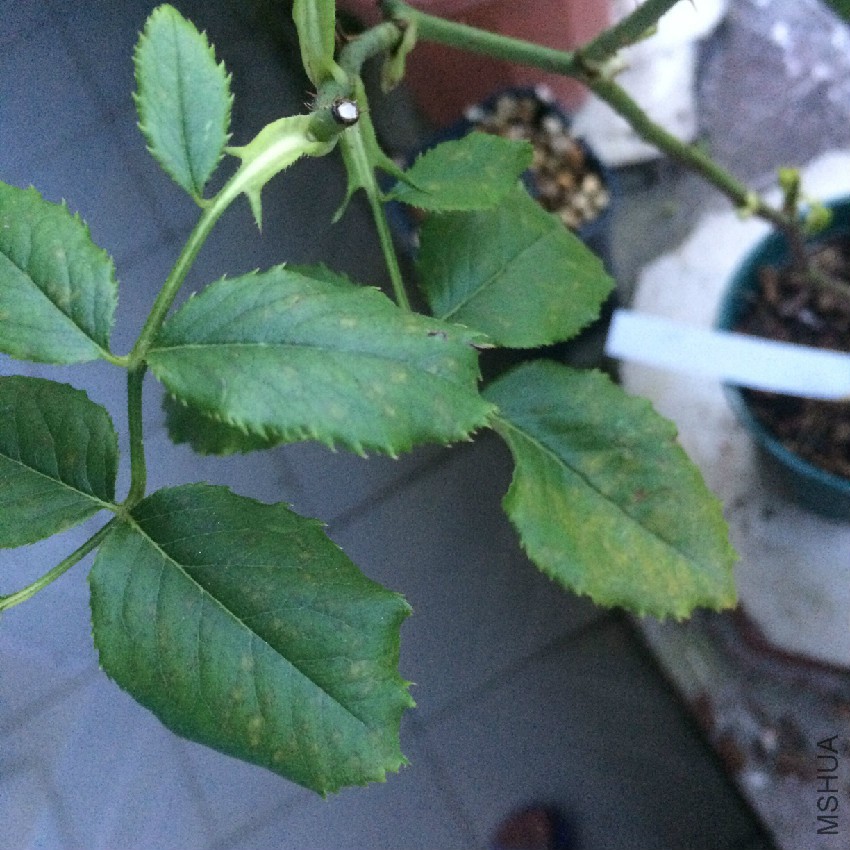 QQͼƬ20160727093618.jpg