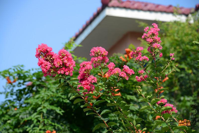 ��Ƭ 032_����.jpg