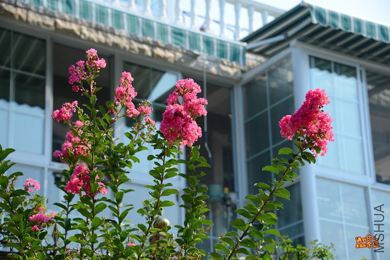 ��Ƭ 035_����.jpg