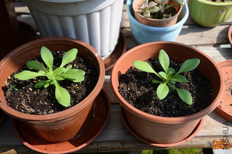 ��Ƭ 045_����.jpg