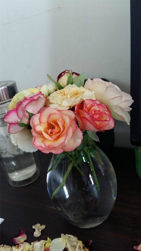 20160728_101702.jpg