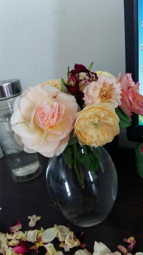 20160728_101613.jpg