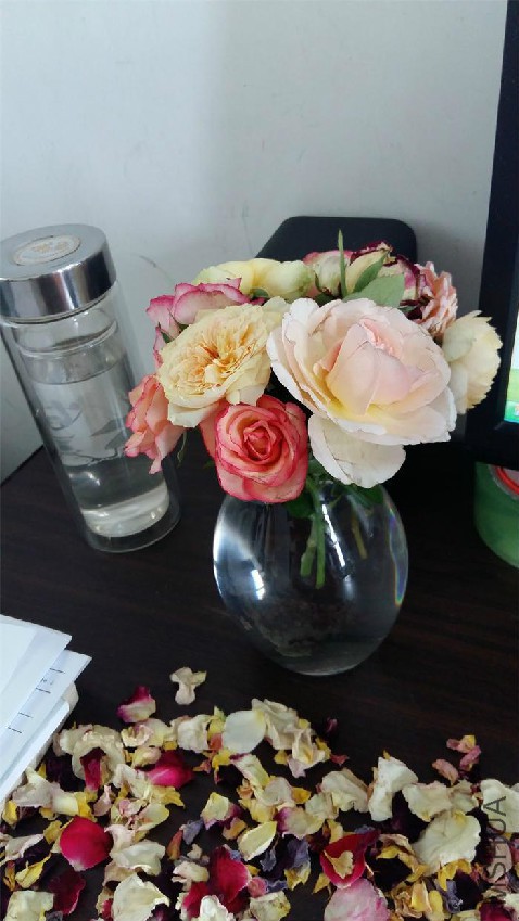 20160728_101745.jpg