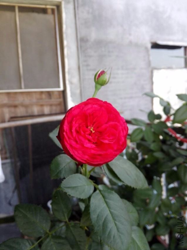 QQͼƬ20160729111946.jpg