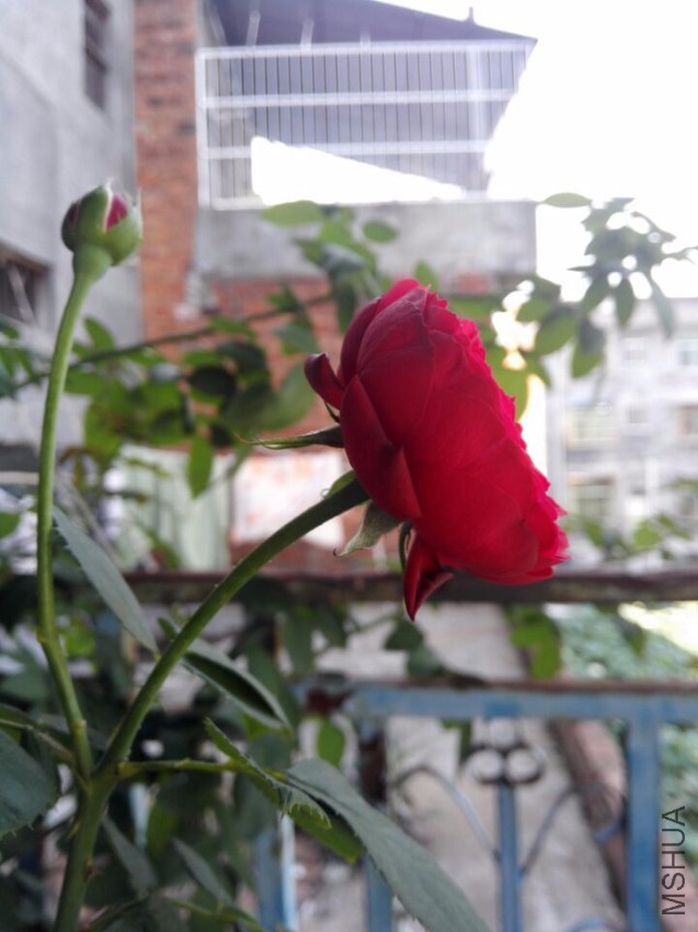QQͼƬ20160729111931.jpg