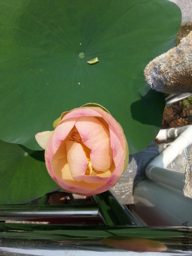 ���绨��������